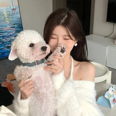 机智问答