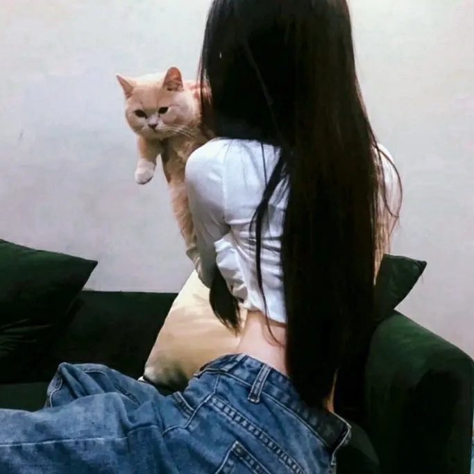 飞哥与小佛第四季
