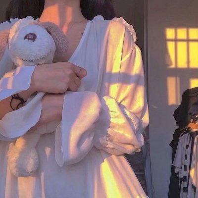龙鱼追鲨令